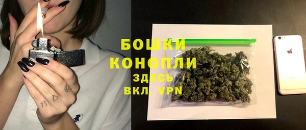 прущий лед Гусев