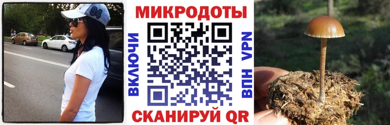 Галлюциногенные грибы Psilocybe  omg tor  Пенза 