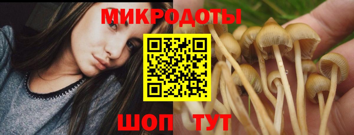 Псилоцибиновые грибы Cubensis  Вход с VPN  Пенза 